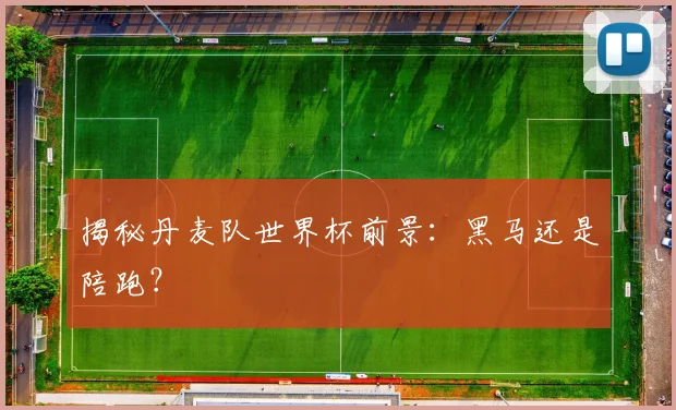 揭秘丹麦队世界杯前景：黑马还是陪跑？